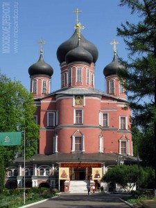 Новый собор Донского монастыря